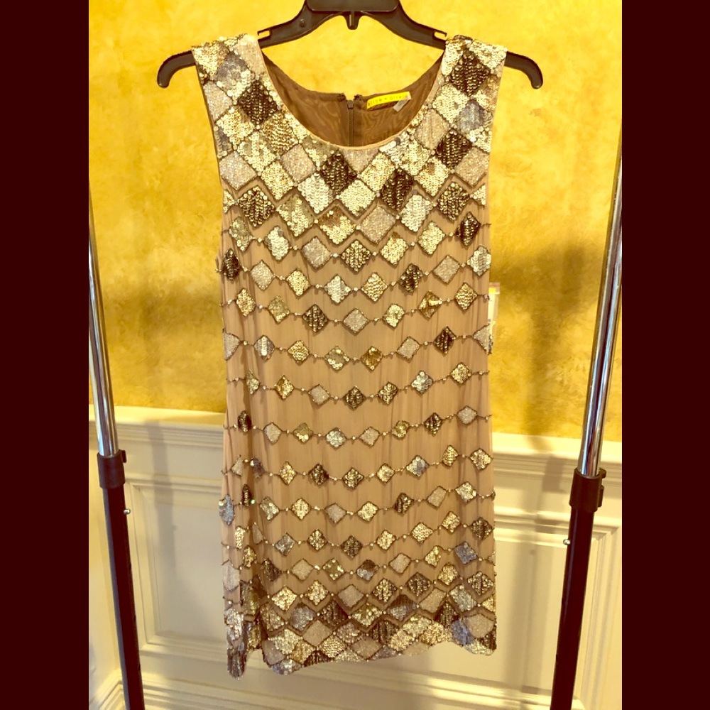 Alice + Olivia sequence dress